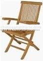 Folding Arm Chair