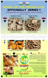 MEDICINAL HERBS