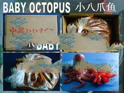 Frozen Seasoned Octopus