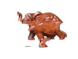 Elephant Suar 40 Cm