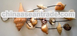 Natural Seashells Art Handicraft Key Chain