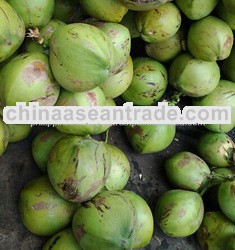 Fresh Coconut Juice