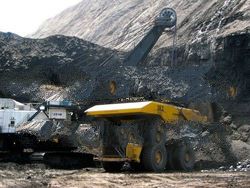 STEAM COAL FROM INDONESIA