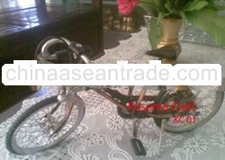 Miniature Bicycle