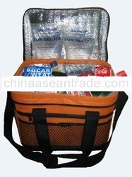 Cooler Bag