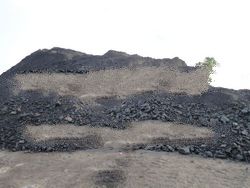 Steam Coal