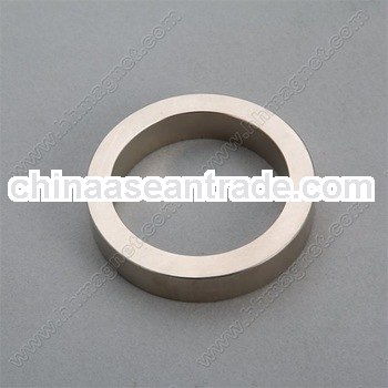 rare earth neodymium monopole magnet for sale