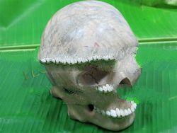 carved home decor wooden skull