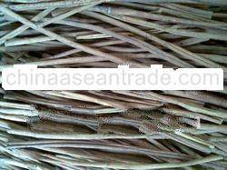 Cassia Sticks