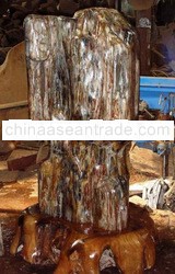 Petrified Wood