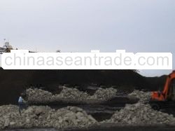 Steam Coal