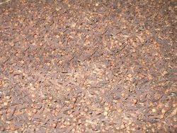 Dried cloves