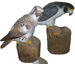 WOOD BIRD ANIMAL STATUE 05