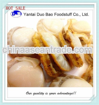 scallop meat exporters seafood