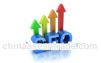 seo optimization services 100% guarantee effect for your website rank on Google or Baidu