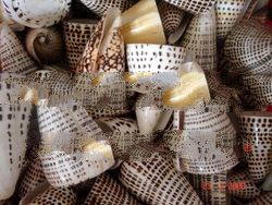 Seashells Art Natural Handicraft