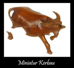 Miniature Buffalo