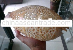 carved sea shell aquarium