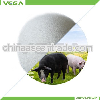 sodium benzoate food grade/raw material/Made in 