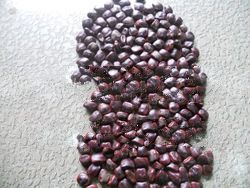 tamarind seeds