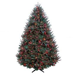 Simply Christmas 7.5 ft. Cambridge Fir W/800 NVO Lights, Multi-Color