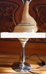table natural shell lamp