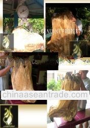 BIG PIECES NATURAL SHAPE WILD AGARWOOD