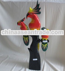 Tropical bird color