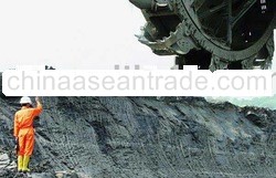 Steam Coal