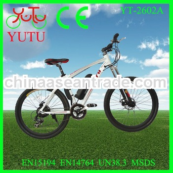 two wheel electric bicycle /strong electric bicycle /buy electric bicycle