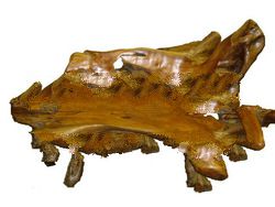 Teak Root Bench Medium