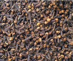 Cloves, Long Pepper, Konyaku, Cardamon Dried Spices