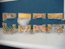 Wooden Alphabet Names & Words gift