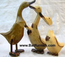 Painted Wood Ducks From 