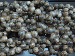 Honey Agarwood Beads