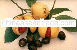 Nutmeg with/without shell,mace,seed ABCD