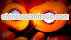 Crude Palm Oil