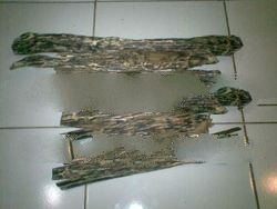 Agarwood crocodile