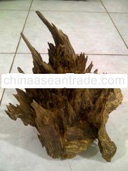 KALIMANTAN ANTIQUE SHAPE AGARWOOD