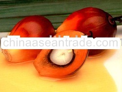 CRUDE PALM OIL