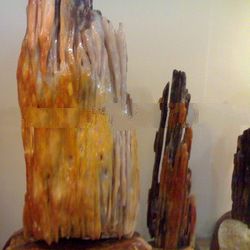 Petrified Wood Crystal
