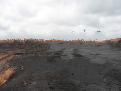 n coal calory 6300/6100