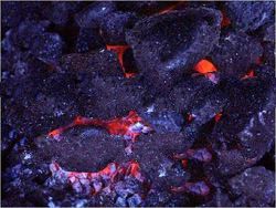 steam coal