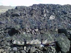 indonesian steam coal