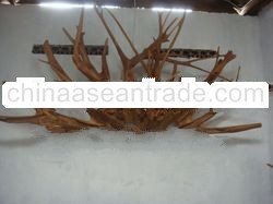 Teak wood root decoration