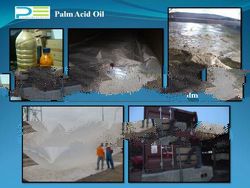 Palm Acid Oil (PAO)