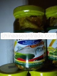 Milkfish Bottled Bangus in Oil