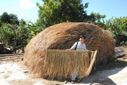 Bali Thatched (Alang Alang) Roof