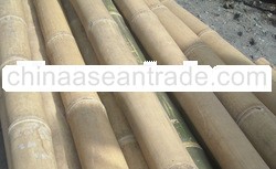 petung bamboo