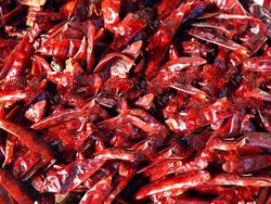 Dry Chilies - Fresh